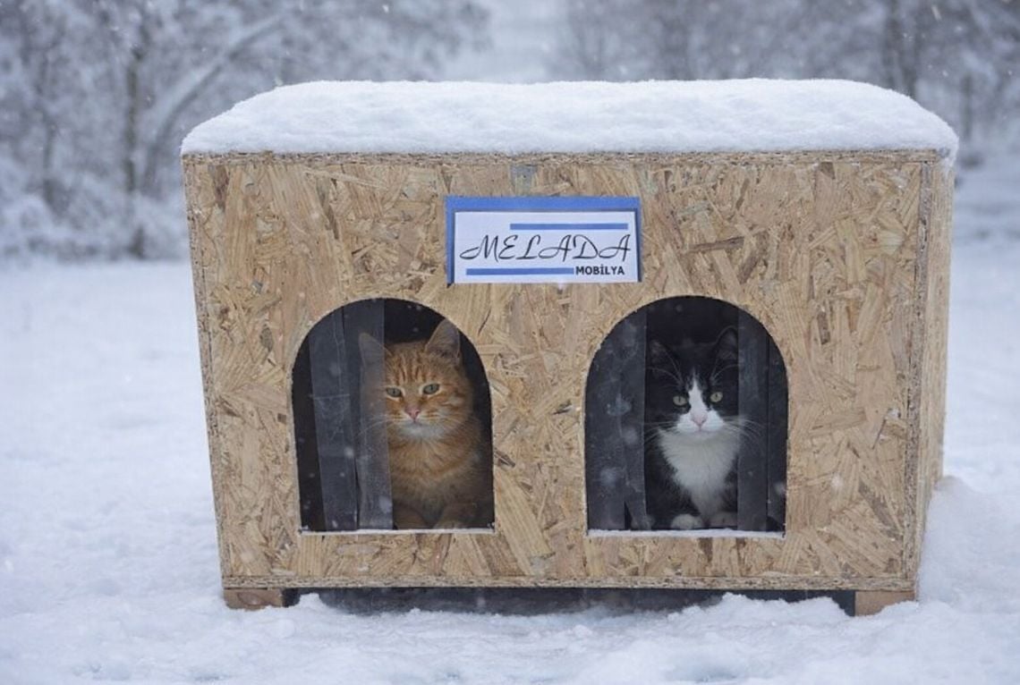 Melada Kedi Evi Dış Ortam Uygun Ahşap Kedi Evi Double OSB 61x41x36 cm