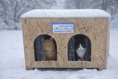 Melada Kedi Evi Dış Ortam Uygun Ahşap Kedi Evi Double OSB 61x41x36 cm
