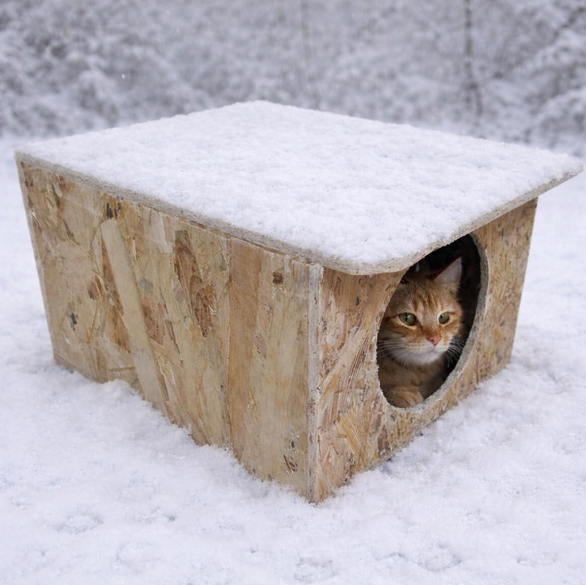 Melada Kedi Evi Dış Ortam Uygun Ahşap Kedi Evi OSB 35x33x23 cm