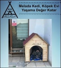 Melada Köpek Kulübesi Büyük Boy Ahşap 100x100x78 cm
