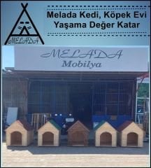 Melada Köpek Kulübesi Büyük Boy Ahşap Ceviz 100x100x78 cm