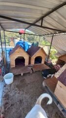 Patiliev09 Köpek Evi Kulübesi Büyük Boy Ahşap 100x100x78 cm