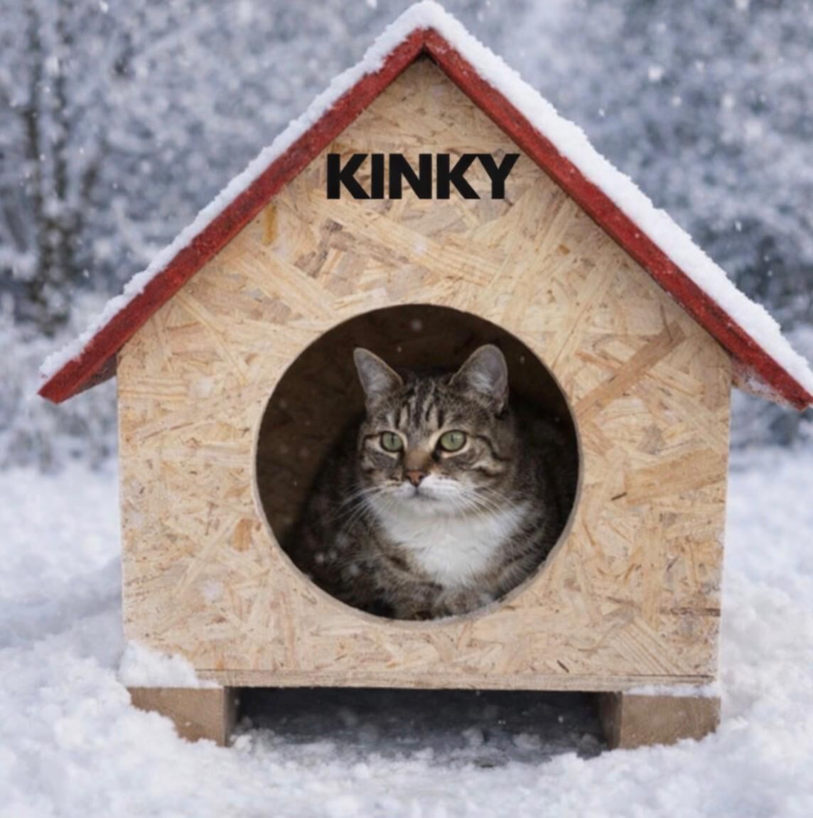 KINKY Kedi Evi Dış Ortam Uygun Ahşap Kedi Evi Double OSB 39x37x34 cm